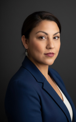 Placeholder de 250x400